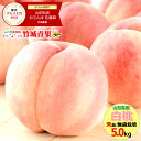 ギフト 桃 山形県産 白桃 5kg(秀品/無袋栽培/12玉〜20玉入り/保護キャップ仕様)※日時指定はメールで※