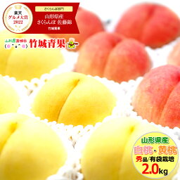 桃 【8月下旬から順次出荷予定】桃 山形県産 白桃・黄桃 詰合せ 秀品 2kg(5玉〜9玉前後)※日時指定はメールで※【 山形産 もも モモ 黄金桃 詰め合わせ セット 御中元 お中元 夏 ギフト 送料無料 暑中見舞い 残暑見舞い プレゼント 果物 フルーツ 人気 産地直送 】