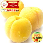 【8月下旬から順次出荷予定】山形県産 黄桃 3kg(秀品/有袋栽培/7玉〜13玉入り/保護キャップ仕様)※日時指定はメールで※【 山形産 もも モモ 黄金桃 御中元 お中元 夏 ギフト 送料無料 暑中見舞い 残暑見舞い プレゼント 果物 フルーツ 人気 産地直送 】