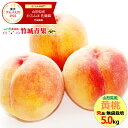 桃 【8月下旬から順次出荷予定】山形県産 黄桃 5kg(秀品/無袋栽培/12玉〜20玉入り/保護キャップ仕様)※日時指定はメールで※【 山形産 もも モモ 黄金桃 御中元 お中元 夏 ギフト 送料無料 暑中見舞い 残暑見舞い プレゼント 果物 フルーツ 人気 産地直送 】