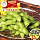 山形県産 枝豆 庄内茶豆 秀品(2kg)※日時指定はメールで※