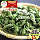 【8月中旬から順次出荷予定】山形県産 枝豆 庄内茶豆 ご家庭用(5kg)※日時指定はメールで※【 山形産 正規品 まめ マメ 豆 枝豆 茶豆 庄..