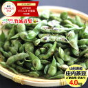 【8月中旬から順次出荷予定】山形県産 枝豆 庄内茶豆 ご家庭用(4kg)※日時指定はメールで※【 山形産 正規品 まめ マメ 豆 枝豆 茶豆 庄..