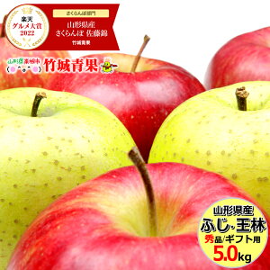 【出荷中】山形県産 りんご ふじ＆王林 詰め合わせ 5kg(秀品/13〜20玉入り)【リンゴ/林檎/ギフト/贈り物/贈答/プレゼント/果物/フルーツ/人気/売れ筋/山形県/送料無料/お取り寄せ】