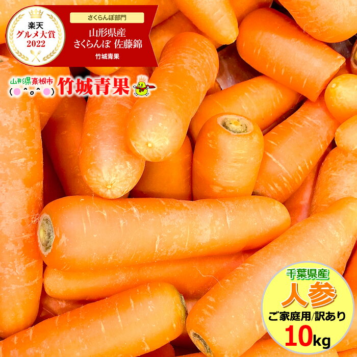 【12月上旬〜日時指定OK】訳あり 千葉県産 無農薬にんじん 10kg(ご家庭用/20本〜70本入り/ジュース・スムージー用)【千葉県産 ニンジン 人参 無農薬 有機栽培 送料無料 千葉県 お取り寄せ 人気 旬 ゲルソンジュース 秋冬】