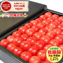 さくらんぼ 【4月中旬から順次出荷予定】さくらんぼ 佐藤錦 (ハウス栽培/秀品/Lサイズ/手詰め/300g/化粧箱)※日時指定はメールで※【 2024 プレゼント 加温ハウス 高級 鏡詰め 山形県産 果物 フルーツ ギフト 贈り物 贈答品 ランキング入賞 人気 売れ筋 山形県 送料無料 】