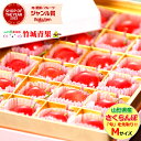 【順次出荷中】山形県産 さくらんぼ 佐藤錦 プレミアムボックス(ハウス栽培/秀品/Mサイズ/24粒)※日時指定はメールで※【2025 プレゼント 高級 山形県産...