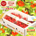 【6/9(月)〜6/15(日)日時指定OK】父の日!ぴったり!山形県産 さくらんぼ 佐藤錦(秀品/Lサイズ/700g/専用化粧箱)【2025 山形県産 父の日 ...