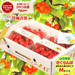 https://thumbnail.image.rakuten.co.jp/@0_mall/ultra-taste/cabinet/daiiti/2024daiiti_0031.jpg