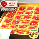 【6/9(月)〜6/15(日)日時指定OK】父の日!ぴったり!山形県産 さくらんぼ 佐藤錦 プレミアムボックス(秀品/2Lサイズ/24粒) 【2025 山形県産...