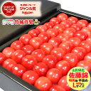 お中元 ギフトさくらんぼ 佐藤錦 500g (露地/特秀品/Lサイズ/手詰め/化粧箱)