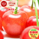 【6月上旬から順次出荷予定/日時指定可】山形県産 さくらんぼ 佐藤錦(露地/秀品/Lサイズ/700g/ばら詰め)【2025 お中元 暑中見舞い 残暑見舞い 夏 ...