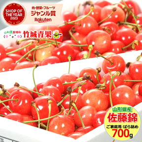 【6月中旬から順次出荷予定/日時指定OK】訳あり さくらんぼ 700g 佐藤錦(露地/Mサイズ/バラ詰め)【 露地 露地物 訳あり 山形県産 サクランボ 果物 フルーツ 人気 売れ筋 ランキング入賞 山形県 送料無料 お取り寄せ わけあり バラ詰め 自宅用 】