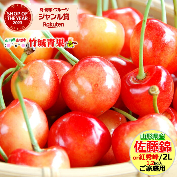 【6月下旬から順次出荷予定】ご家庭用 さくらんぼ 佐藤錦or紅秀峰 1.2kg (露地/2Lサイズ/バラ詰め/フードパック)【 露地 露地物 訳あり 山形県産 サクランボ 果物 フルーツ 人気 売れ筋 ランキング入賞 山形県 送料無料 お取り寄せ わけあり 】