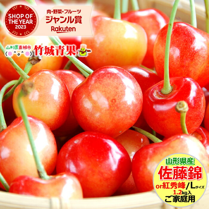 【6月下旬から順次出荷予定】ご家庭用 さくらんぼ 佐藤錦or紅秀峰 1.2kg (露地/Lサイズ/バラ詰め/フードパック)【 露地 露地物 訳あり 山形県産 サクランボ 果物 フルーツ 人気 売れ筋 ランキング入賞 山形県 送料無料 お取り寄せ わけあり 】