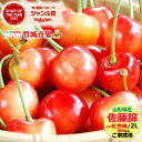 【6月下旬から順次出荷予定】ご家庭用 さくらんぼ 佐藤錦or紅秀峰 800g (露地/2Lサイズ/バラ詰め/フードパック)【 露…