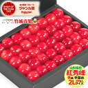 【6月下旬から順次出荷予定/日時指定可】山形県産 さくらんぼ 紅秀峰(露地/秀品/2Lサイズ/手詰め/300g/化粧箱)【2025 お中元 暑中見舞い 残暑見舞...