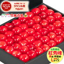 【7月上旬から順次出荷予定/日時指定OK】さくらんぼ 紅秀峰 300g (露地/秀品/Lサイズ/手詰め/化粧箱)【サクランボ 露…