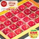 さくらんぼ 紅秀峰 (秀品/3Lサイズ/24粒入り)