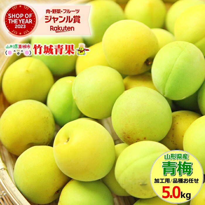 【7月上旬から順次出荷予定】山形県産 青梅 5kg【 山形産