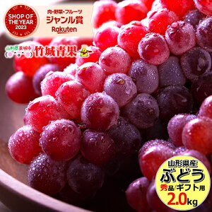 【7月中旬から順次出荷予定】山形県産 ブドウ デラウェア 2kg(秀品/8房〜16房)※日時指定はメ...