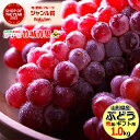 【7月中旬から順次出荷予定】山形県産 ぶどう デラウェア 1kg(秀品/4〜8房)※日時指定はメールで※【ぶどう ブドウ 葡萄 御中元 お中元 夏 ギフト 送料...
