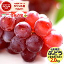 【8月上旬から順次出荷予定】山形県産 ご家庭用 ぶどう デラウェア 2kg(8〜16房)※日時指定はメールで※【ぶどう ブドウ 葡萄 ご自宅用 ご家庭用 お得 ...