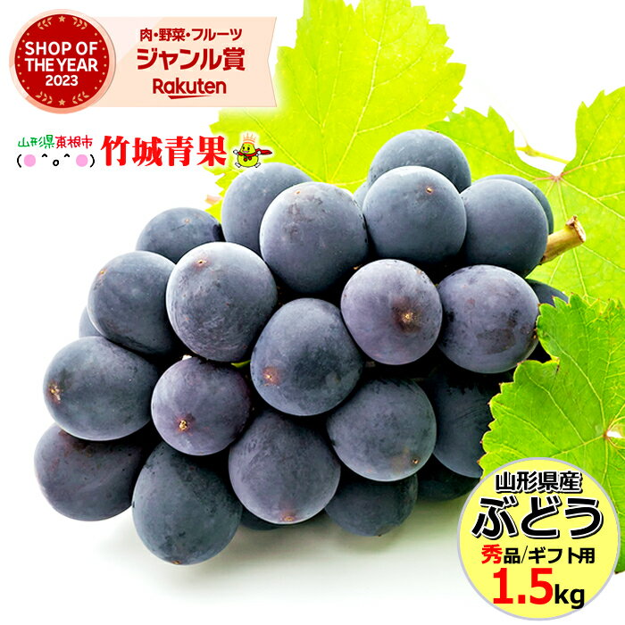 【9月中旬から順次出荷予定】山形県産 ブドウ ピオーネ 1.5kg(秀品/2房〜3房)※日時指定はメールで※【山形産 ぶどう …