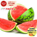 【7月中旬から順次出荷予定】山形県産 ご家庭用 尾花沢すいか 2玉(1玉 約6kg)※日時指定はメールで※【山形産 尾花沢産 スイカ 西瓜 大玉 尾花沢スイカ ...