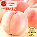 【7月下旬から順次出荷予定】山形県産 もも 白桃 3kg(秀品/無袋栽培/7〜13玉/保護キャップ仕様)※日時指定はメールで※【山形産 もも モモ 御中元 お中...