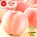 【7月下旬から順次出荷予定】ギフト 桃 山形県産 白桃 3kg(秀品/無袋栽培/7玉〜13玉入り/保護キャップ仕様)※日時指定…