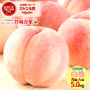 【9月中旬から順次出荷予定】ギフト 桃 山形県産 大玉 白桃 5kg(秀品/無袋栽培/8玉〜12玉入り/保護キャップ仕様)※日…