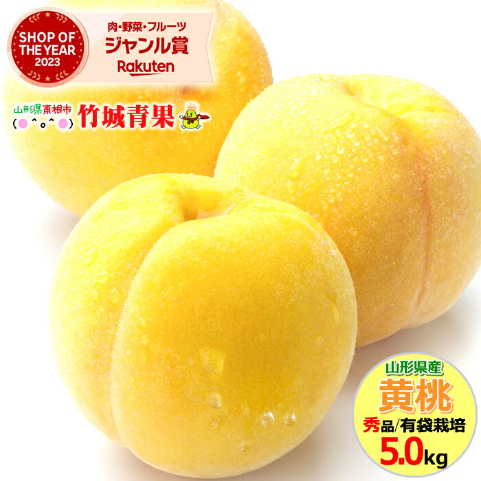 【8月下旬から順次出荷予定】山形県産 黄桃 5kg 秀品/有袋栽培/12玉〜20玉入り/保護キャップ仕様 日時指定はメールで 【 山形産 もも モモ 黄金桃 御中元 お中元 夏 ギフト 送料無料 暑中見舞…