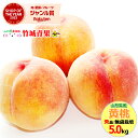 桃 【8月下旬から順次出荷予定】山形県産 黄桃 5kg(秀品/無袋栽培/12玉〜20玉入り/保護キャップ仕様)※日時指定はメールで※【 山形産 もも モモ 黄金桃 御中元 お中元 夏 ギフト 送料無料 暑中見舞い 残暑見舞い プレゼント 果物 フルーツ 人気 産地直送 】