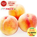 【8月下旬から順次出荷予定】山形県産 もも 黄桃 3kg(秀品/無袋栽培/7〜13玉/保護キャップ仕様)※日時指定はメールで※【山形産 もも モモ 黄金桃 御中...
