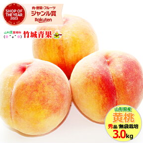 【8月下旬から順次出荷予定】山形県産 黄桃 3kg(秀品/無袋栽培/7玉〜13玉入り/保護キャップ仕様)※日時指定はメールで※【 山形産 もも モモ 黄金桃 御中元 お中元 夏 ギフト 送料無料 暑中見舞い 残暑見舞い プレゼント 果物 フルーツ 人気 産地直送 】