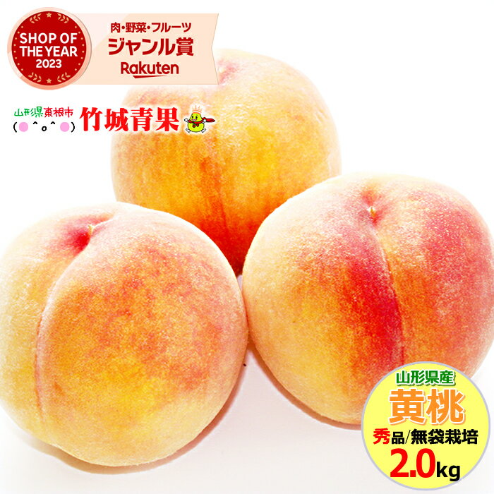 【8月下旬から順次出荷予定】山形県産 黄桃 2kg(秀品/無袋栽培/5玉〜9玉入り/保護キャップ仕様)※日時指定はメールで※【 山形産 もも モモ 黄金桃 御中元 お中元 夏 ギフト 送料無料 暑中見舞い 残暑見舞い プレゼント 果物 フルーツ 人気 産地直送 】