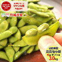 【8月下旬から順次出荷予定】山形県鶴岡産 枝豆 だだちゃ豆 3kg(秀品/500g×6P)※日時指定はメールで※【山形産 正規品 まめ マメ 豆 枝豆 茶豆 庄...