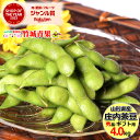 【8月中旬から順次出荷予定】山形県産 枝豆 庄内茶豆 秀品(4kg)※日時指定はメールで※【 山形産 まめ マメ 豆 枝豆 茶豆 庄内茶豆 御中元 お中元 夏 ギフト 送料無料 暑中見舞い 残暑見舞い プレゼント 人気 産地直送 お取り寄せ 贈り物 敬老の日 】