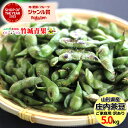 【8月中旬から順次出荷予定】山形県産 枝豆 庄内茶豆 ご家庭用(5kg)※日時指定はメールで※【 山形産 正規品 まめ マメ 豆 枝豆 茶豆 庄..