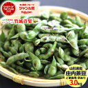 【8月下旬から順次出荷予定】山形県産 ご家庭用 枝豆 庄内茶豆 3kg(500g×6P)※日時指定はメールで※【山形産 正規品 まめ マメ 豆 枝豆 茶豆 庄内...