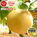 商品名 ■山形県産 刈屋梨（豊水） 商品内容 ■1箱 約 3.0kg(6玉〜8玉入り） ※秀品 ※重さ・玉数のご指定はお受けできません。 原産地 ■山形県庄内刈屋産 賞味期限 ■生もののため、お早めにお召し上がりください。 保存方法 ■直射日光を避け、風通しの良い冷暗所で保存してください。 お届けについて ■★ご注文受付中★ ■お届け可能期間：9月下旬〜10月上旬頃までの予定 ■お届け日時指定可能(上記お届け可能期間厳守) ※お届け日時の指定がある場合は、お手数ですがメールにてお届け日の指定(お届け可能期間内)のご連絡ください。 ※お届け日ご指定のご連絡がない場合には期間内に順次発送いたします。 ※天候や気象状況等の理由により、お届け時期が変更・キャンセルとなる場合がございます。どうぞご了承のうえでご注文をお願い致します。 送料 ■送料無料 ※沖縄県及び離島へのお届けはお受けできません。 ※お支払/送料/配送について⇒こちら 配送方法 ■常温便 ギフト対応 必ずご確認下さいませ！ ■熨斗各種対応可能(名入れ不可) ※「名入れ」等、のし下のご指定はいただけません。 ※デザインは変更する場合があります。 ※包装紙による個別包装やラッピングなどのギフト対応はお受けできません。 ■当店ではお届け先様に金額や割引率などがわかる物を同封したり、送り状に印字する様な事は一切ありません。ギフトなどの用途でもご安心してご利用くださいませ。 その他 ■日本北限の山形県で生産された和梨(豊水)です。 御用途一覧 ■山形県は和梨の産地では日本の極限の産地で、日本全国の産地の収穫が終わった後にひっそりと出荷が始まるんです。 でもその分、太陽の光をいっぱいにあびているので甘みをたっぷりとたくわえているんです♪ 農家さんからの直接買付だから出来る安さと新鮮さをぜひご賞味下さい♪ なし、ナシ、梨、和梨、豊水、自宅用、家庭用、山形、山形県、山形産、山形県産、産地直送、3kg、3.0kg、3キロ、無料、送料無料 不正注文について ■不正購入と判断した場合にはご注文を取り消しさせて頂く場合があります。 販売者 ■ウルトラテイスト株式会社 　〒999-3776 山形県東根市羽入1961-1 　電話でのお問い合わせ ⇒ 0237-53-1666 　FAXでのお問い合わせ ⇒ 0237-53-1660 　メールでのお問い合わせ ⇒cs-info@ultra-taste.com