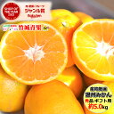 【11月上旬から順次出荷予定】産地厳選 国産 温州みかん 約5kg 秀品※日時指定はメールで※【産地厳選 国産 みかん ミカン 蜜柑 自宅用 家庭用 贈り物 ギ...