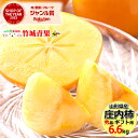 【10月下旬から順次出荷予定】山形県産 柿 庄内柿 6.6kg(秀品/大玉/36玉)※日時指定はメールで※【山形産 カキ 柿刀根早生 平核無柿 たねなし 種なし...