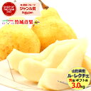 【12月上旬から順次出荷予定】山形県産 洋梨 ル・レクチェ 3kg(秀品/8〜13玉入り)※日時指定はメールで※【西洋梨 ルレクチエ ル レクチエ ル・レクチェ...