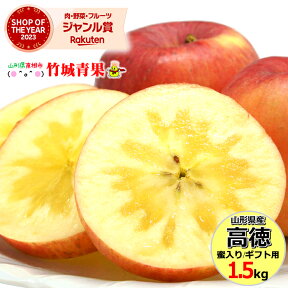 【】山形県産 蜜入り りんご 高徳(こうとく) 1.5kg(6玉〜15玉入り)※日時指定はメールで※【リンゴ 林檎 ギフト 贈り物 贈答 プレゼント 果物 フルーツ 人気 売れ筋 山形県 送料無料 お取り寄せ】