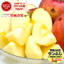 【出荷中】ご家庭用 訳あり りんご サンふじ 3kg(糖度厳選/8〜12玉入り/生食用)※日時指定はメールで※【山形県産 リンゴ 林檎 apple 苹果 蘋果 ...
