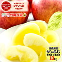 【即日発送実施中!】青森県産 ご家庭用 準秀品 りんご サンふじ 10kg(26玉〜46玉/生食可)※日時指定はメールで※【青森産 サンふじ りんご リンゴ 林...