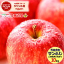 【即日発送実施中!】青森県産 ご家庭用 りんご サンふじ 10kg(22玉〜46玉入り/生食可)※日時指定はメールで※【青森産 サンふじ りんご リンゴ 林檎 ...