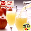 【即日発送実施中!】青森県産 ご家庭用 りんご サンふじ 5kg(11玉〜23玉入り/ジュース・スムージー用)※日時指定はメールで※【 青森産 サンふじ りんご...